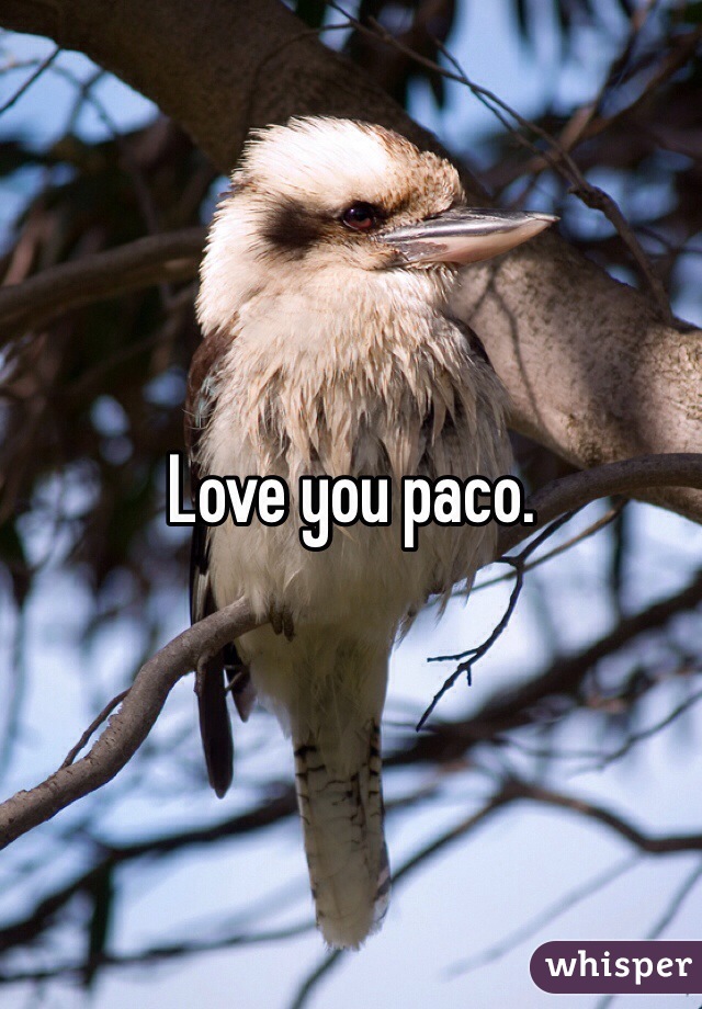 Love you paco. 