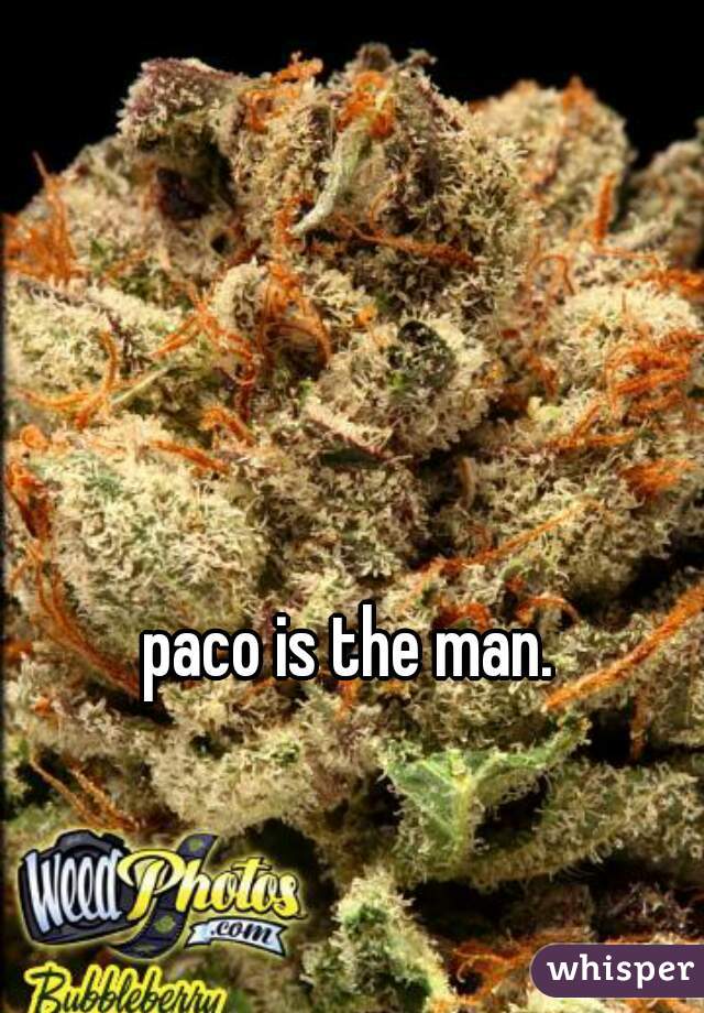 paco is the man.