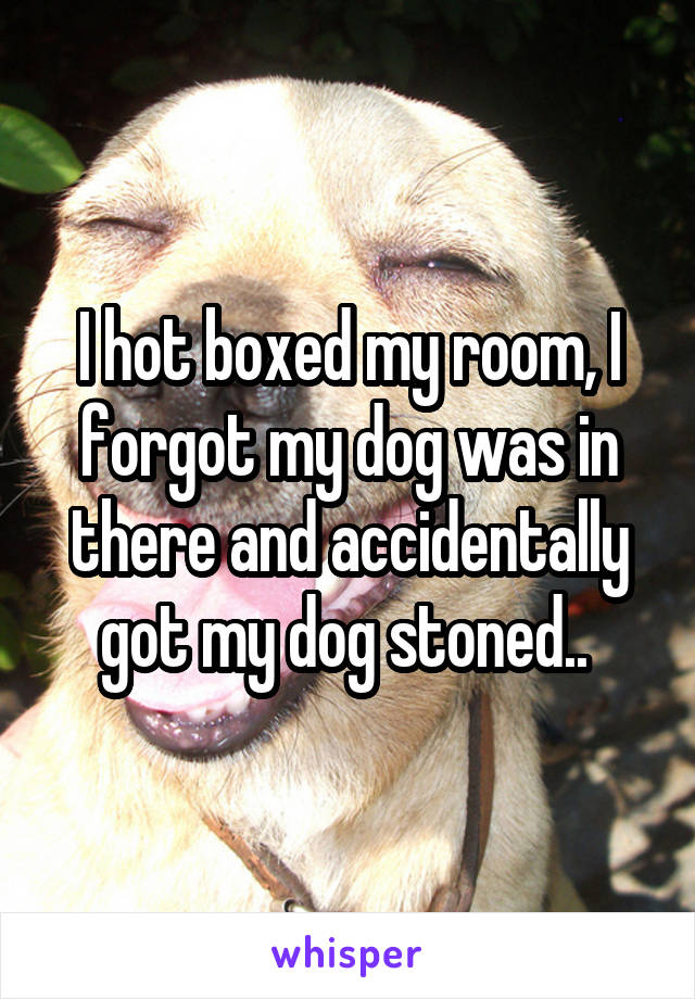 I hot boxed my room, I forgot my dog was in there and accidentally got my dog stoned.. 
