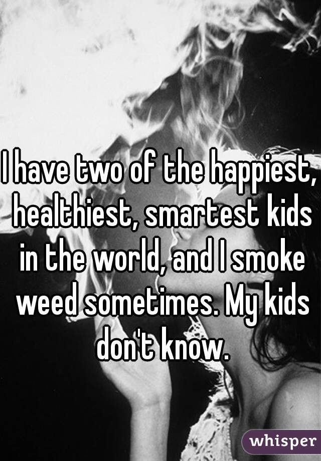 I have two of the happiest, healthiest, smartest kids in the world, and I smoke weed sometimes. My kids don't know.