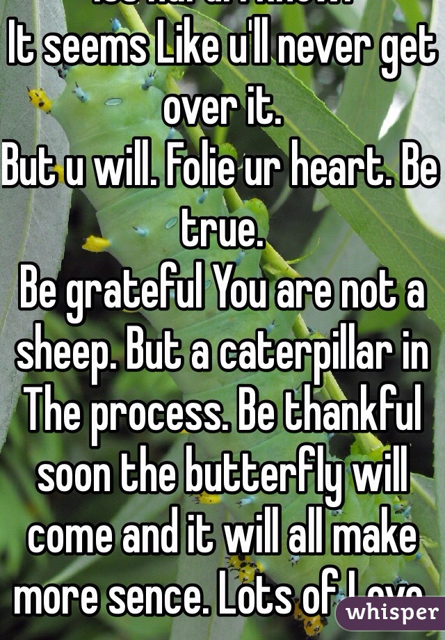 This too shall pass. I'm 33 bullied for more than half of it. 
It will pass. Just make u stronger true to urself. Its hard. I know. 
It seems Like u'll never get over it. 
But u will. Folie ur heart. Be true. 
Be grateful You are not a sheep. But a caterpillar in The process. Be thankful soon the butterfly will come and it will all make more sence. Lots of Love. 