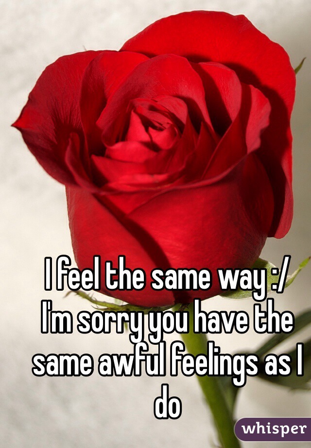 I feel the same way :/ 
I'm sorry you have the same awful feelings as I do
