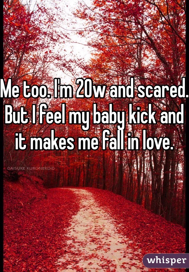 Me too. I'm 20w and scared. But I feel my baby kick and it makes me fall in love.