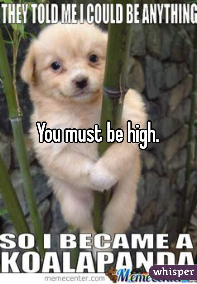 You must be high.