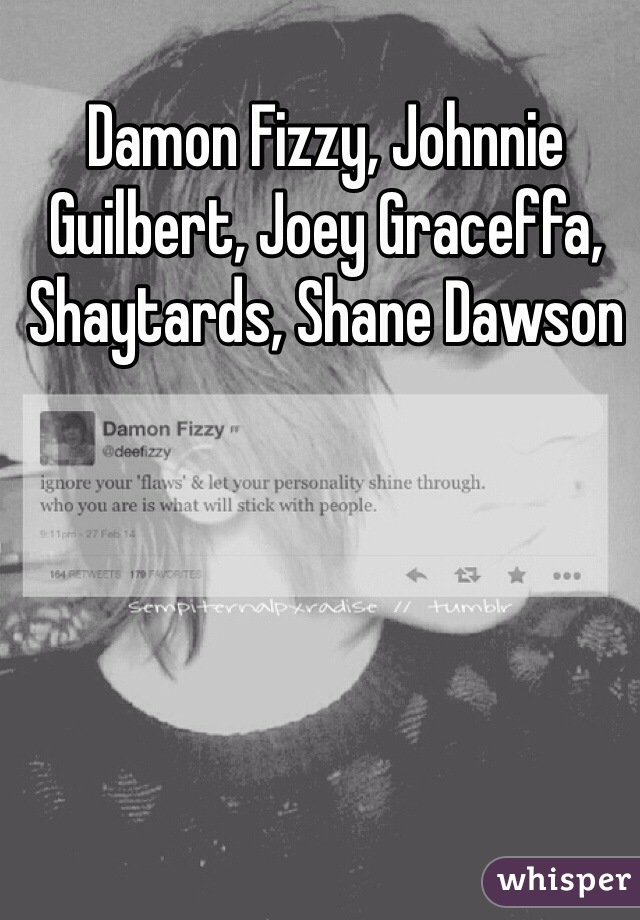 Damon Fizzy, Johnnie Guilbert, Joey Graceffa, Shaytards, Shane Dawson