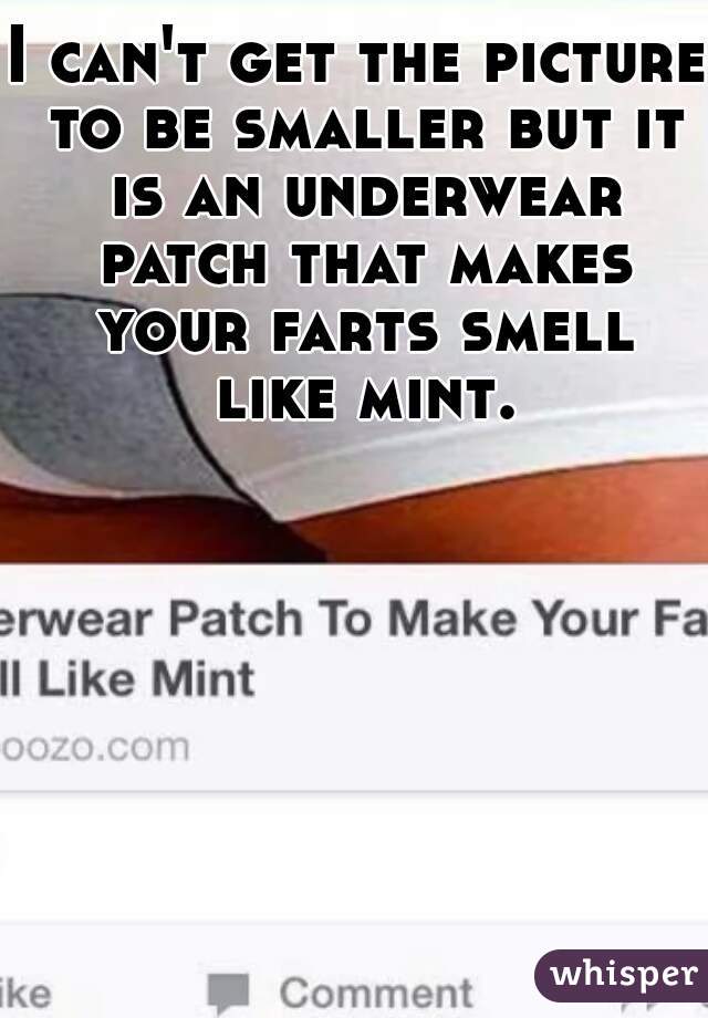 I can't get the picture to be smaller but it is an underwear patch that makes your farts smell like mint.