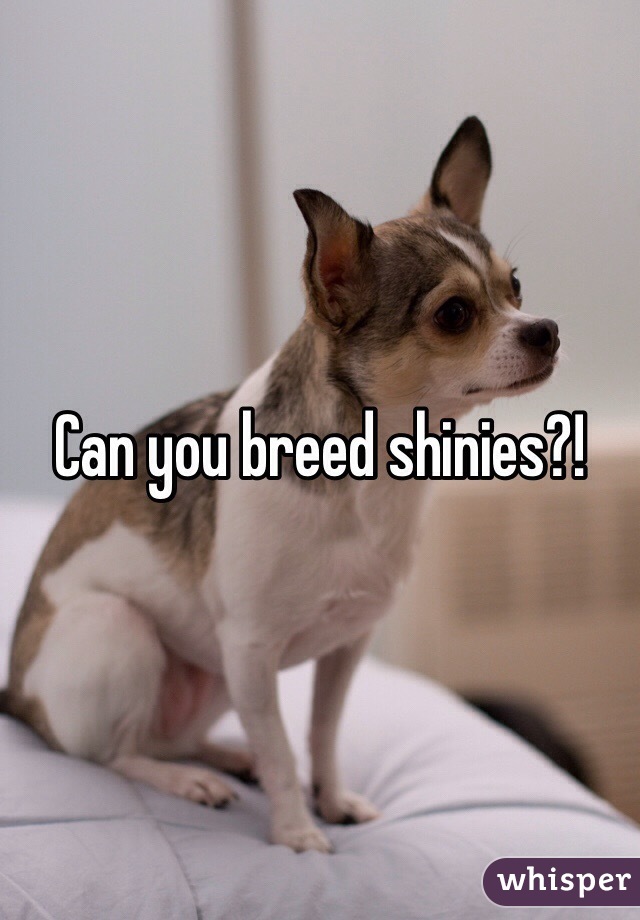 Can you breed shinies?!