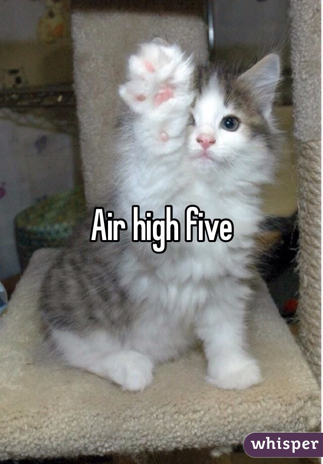 Air high five