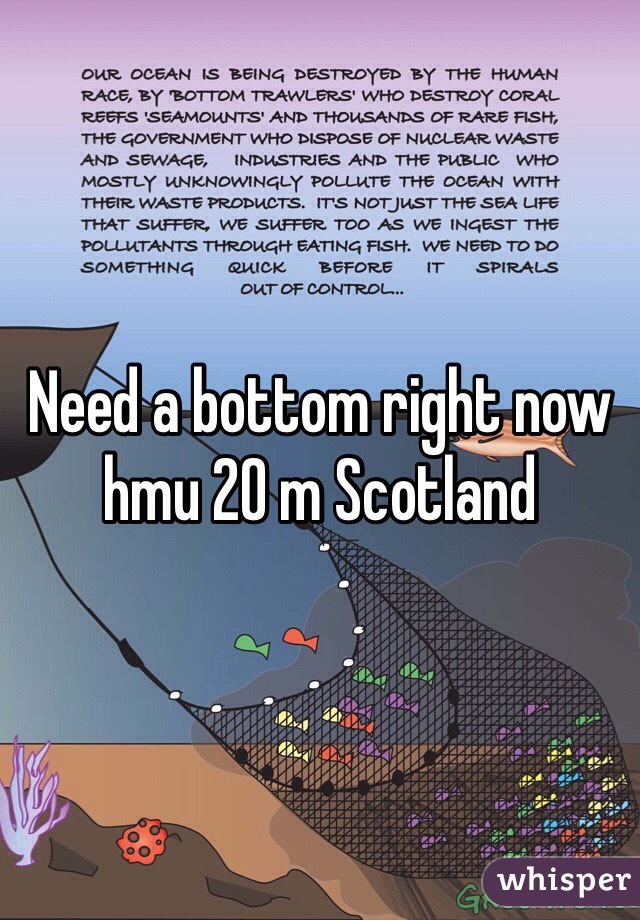 Need a bottom right now hmu 20 m Scotland 