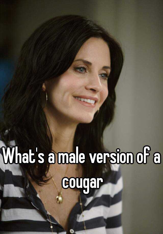 Whats A Male Version Of A Cougar