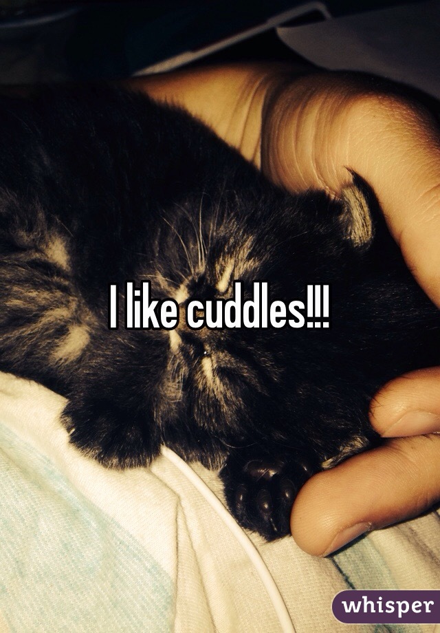 I like cuddles!!!