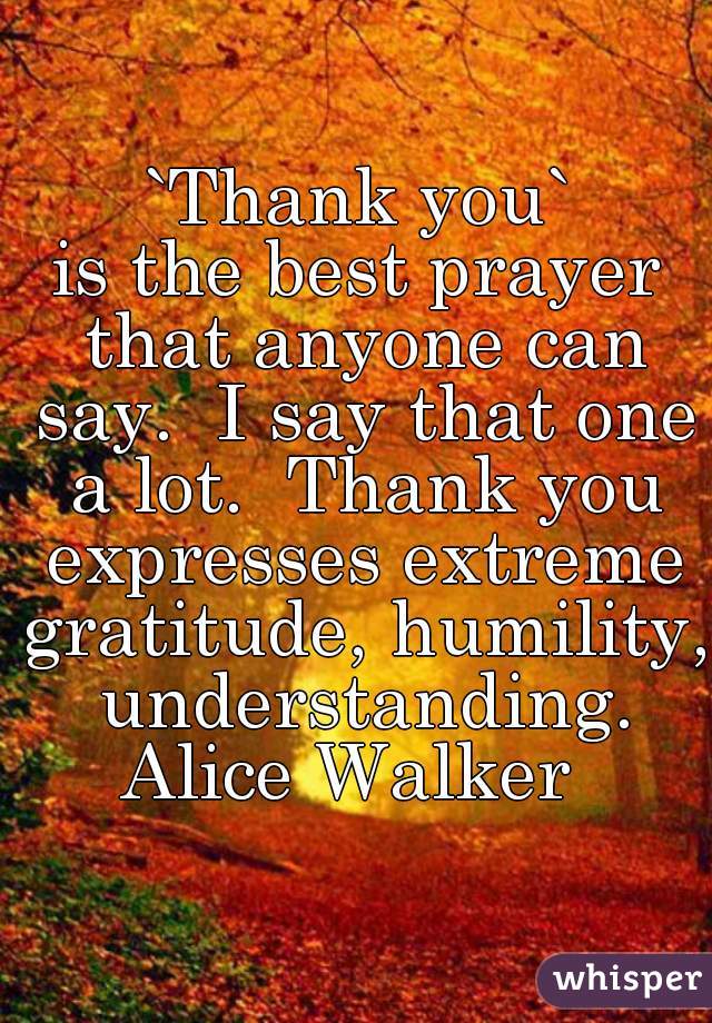 `Thank you`
is the best prayer that anyone can say.  I say that one a lot.  Thank you expresses extreme gratitude, humility, understanding.
Alice Walker 