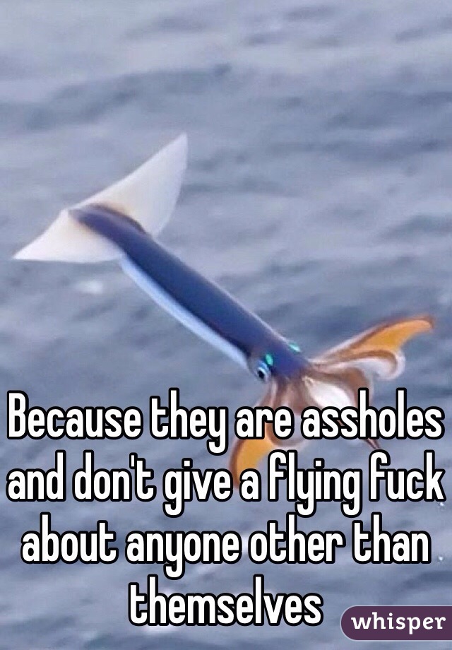 Because they are assholes and don't give a flying fuck about anyone other than themselves 
