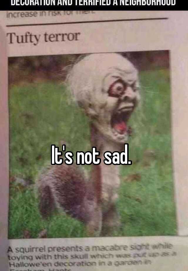 it-s-not-sad