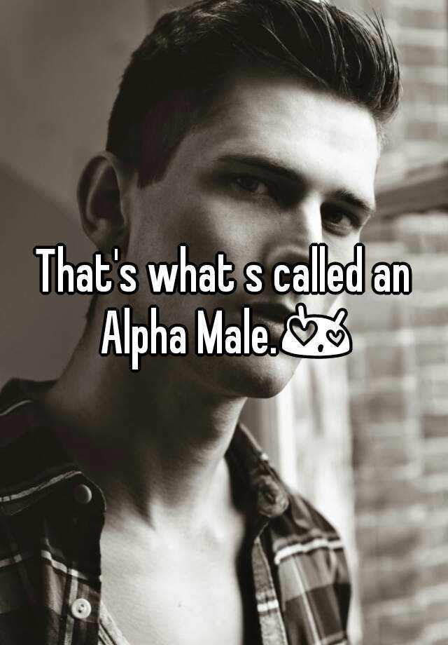 that-s-what-s-called-an-alpha-male