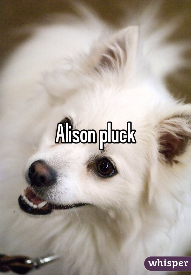 Alison pluck