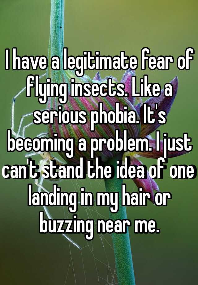 i-have-a-legitimate-fear-of-flying-insects-like-a-serious-phobia-it-s