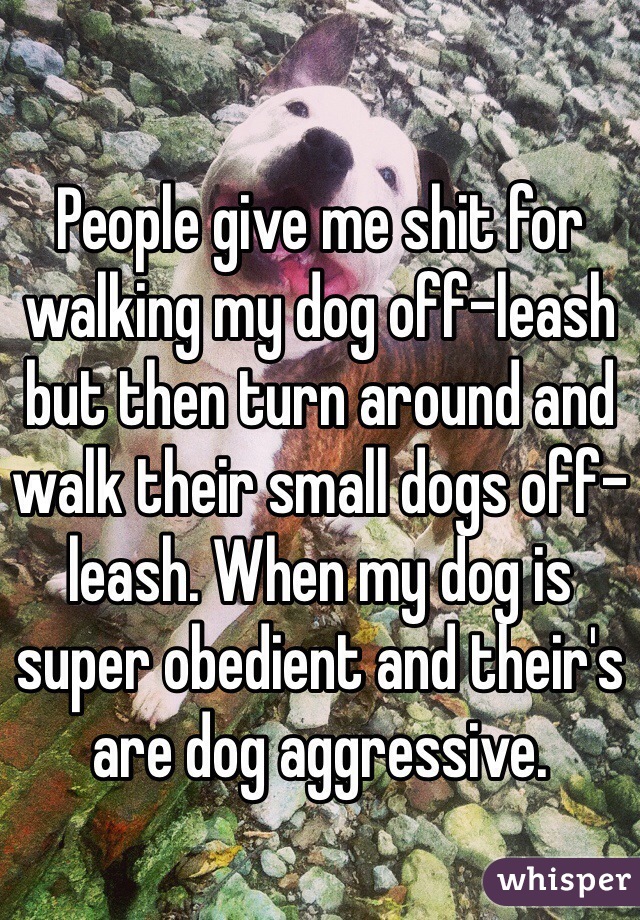 People give me shit for walking my dog off-leash but then turn around and walk their small dogs off-leash. When my dog is super obedient and their's are dog aggressive.