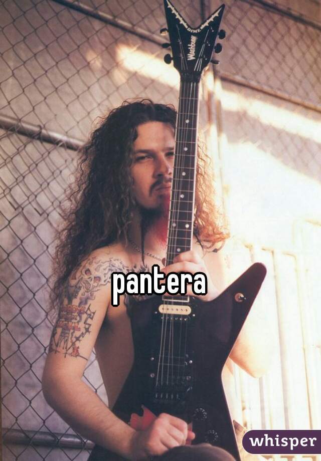 pantera