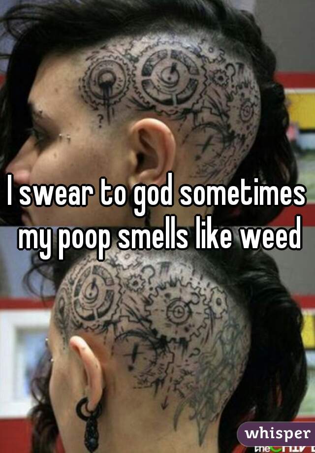 I swear to god sometimes my poop smells like weed