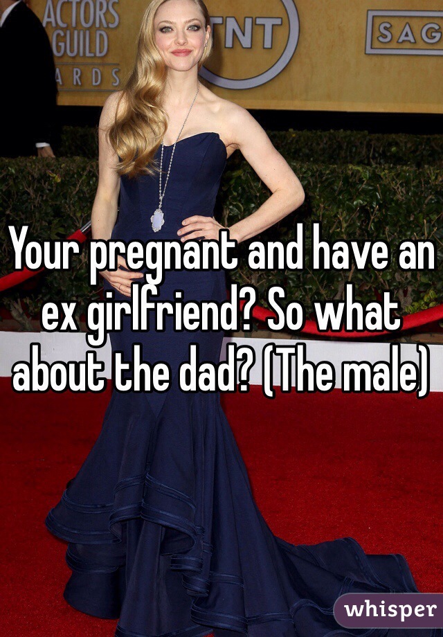 Your pregnant and have an ex girlfriend? So what about the dad? (The male)