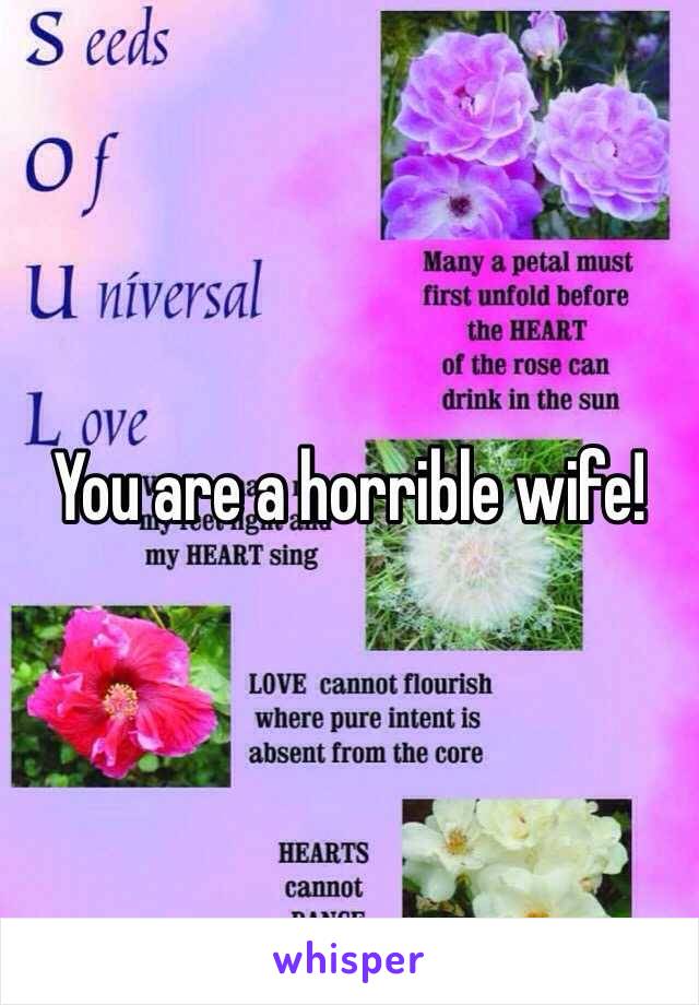 You are a horrible wife! 