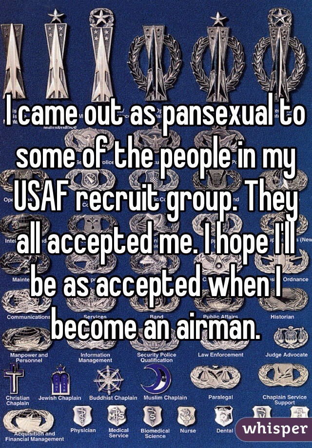 I came out as pansexual to some of the people in my USAF recruit group. They all accepted me. I hope I'll be as accepted when I become an airman.