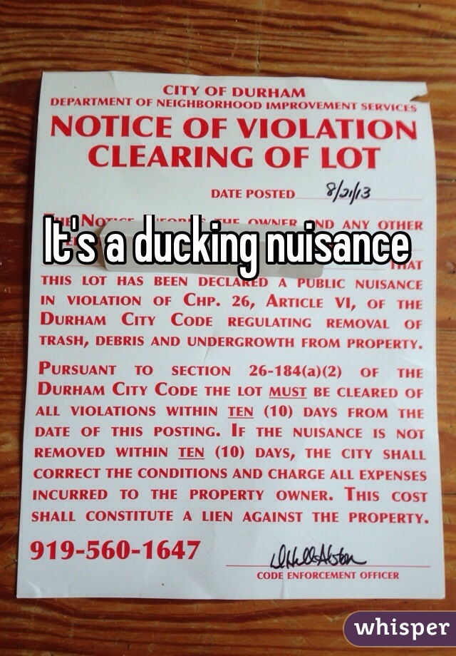 It's a ducking nuisance 
