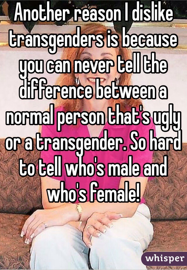 Another reason I dislike transgenders is because you can never tell the difference between a normal person that's ugly or a transgender. So hard to tell who's male and who's female!