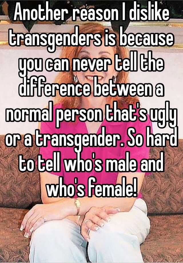 Another reason I dislike transgenders is because you can never tell the difference between a normal person that's ugly or a transgender. So hard to tell who's male and who's female!