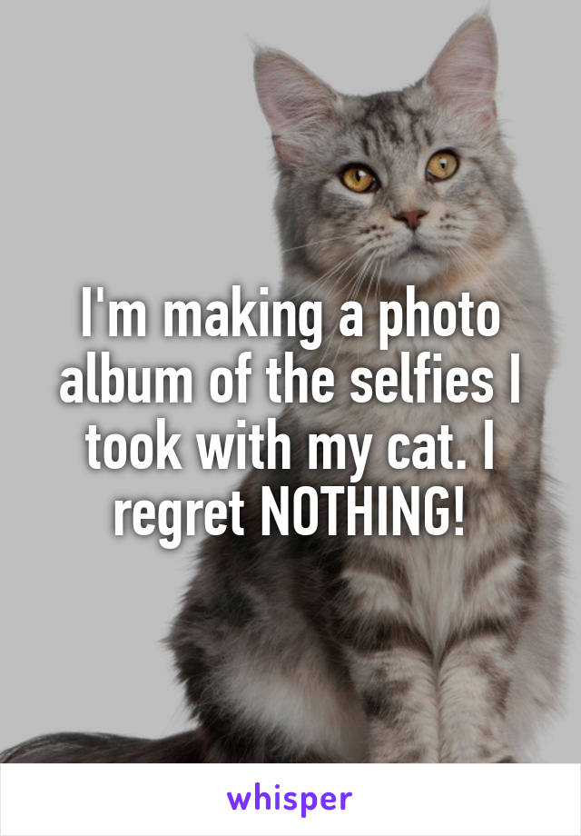 I'm making a photo album of the selfies I took with my cat. I regret NOTHING!