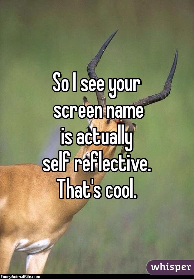 So I see your
 screen name 
is actually 
self reflective. 
That's cool. 