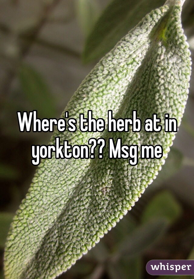 Where's the herb at in yorkton?? Msg me