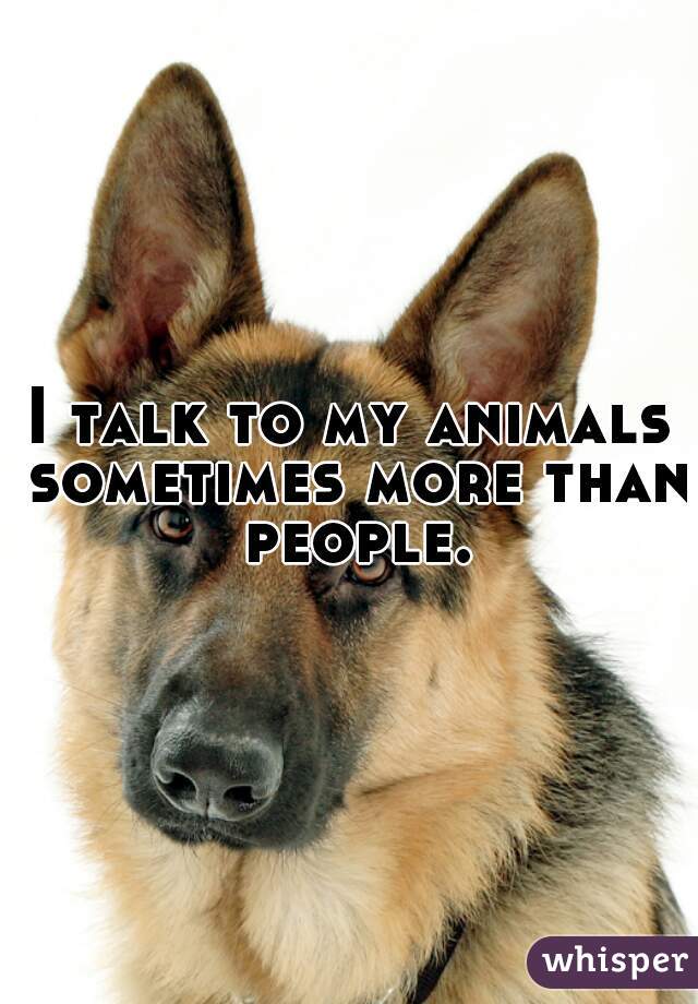 I talk to my animals sometimes more than people.