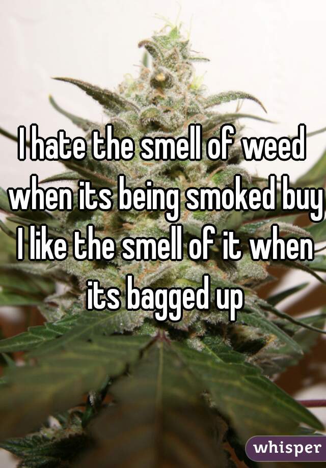 I hate the smell of weed when its being smoked buy I like the smell of it when its bagged up