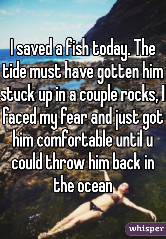 I saved a fish today. The tide must have gotten him stuck up in a couple rocks, I faced my fear and just got him comfortable until u could throw him back in the ocean 