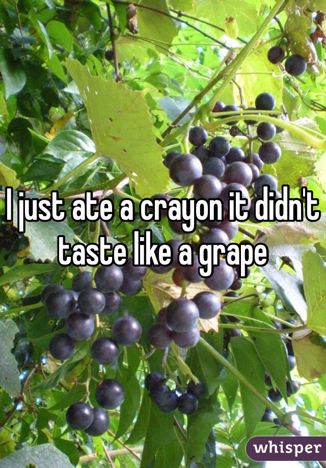 I just ate a crayon it didn't taste like a grape 