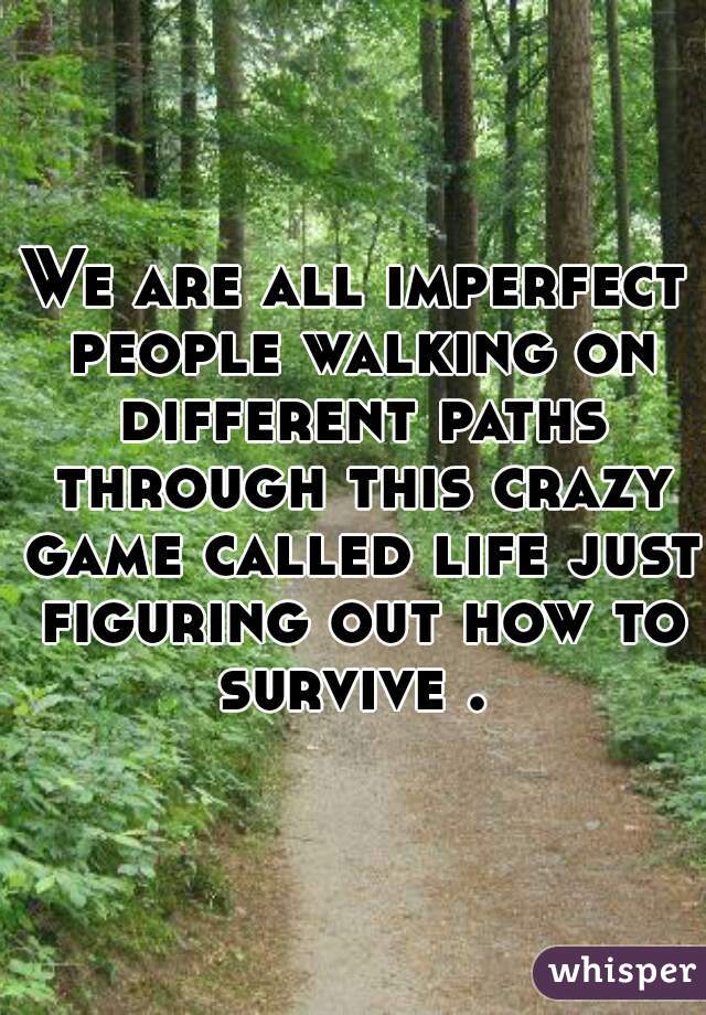 We are all imperfect people walking on different paths through this crazy game called life just figuring out how to survive . 