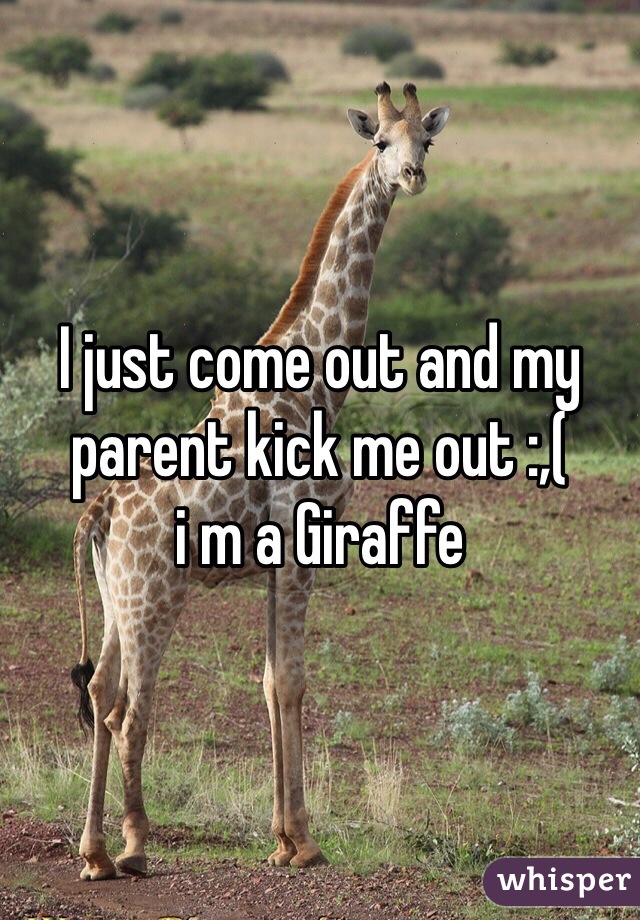 I just come out and my parent kick me out :,( 
i m a Giraffe 