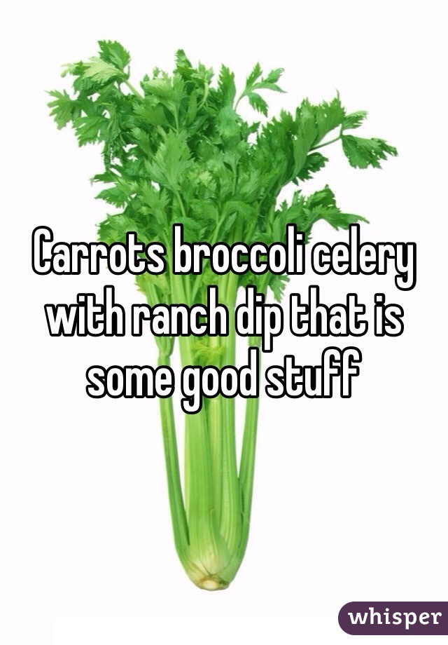 Carrots broccoli celery with ranch dip that is some good stuff 