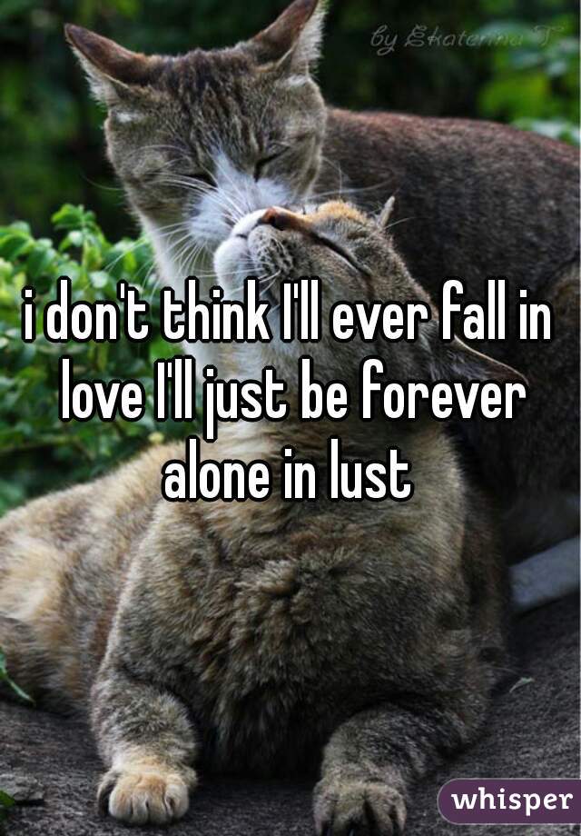 i don't think I'll ever fall in love I'll just be forever alone in lust 