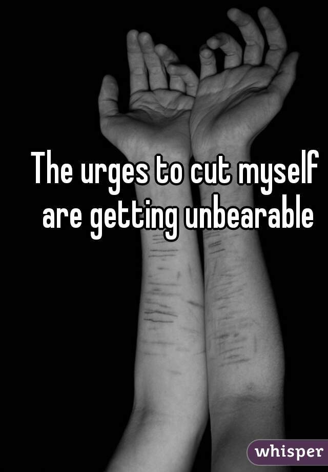 The urges to cut myself are getting unbearable