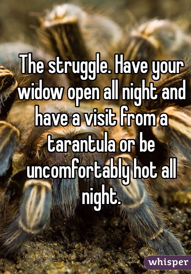 The struggle. Have your widow open all night and have a visit from a tarantula or be uncomfortably hot all night.  