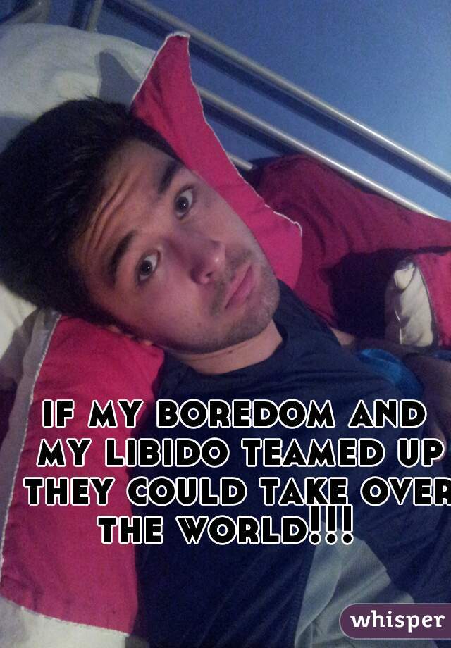 if my boredom and my libido teamed up they could take over the world!!!  