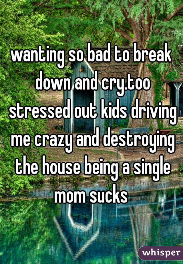 wanting so bad to break down and cry.too stressed out kids driving me crazy and destroying the house being a single mom sucks 