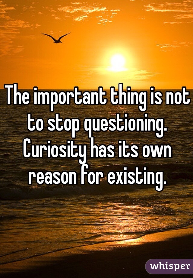 The important thing is not to stop questioning. Curiosity has its own reason for existing.