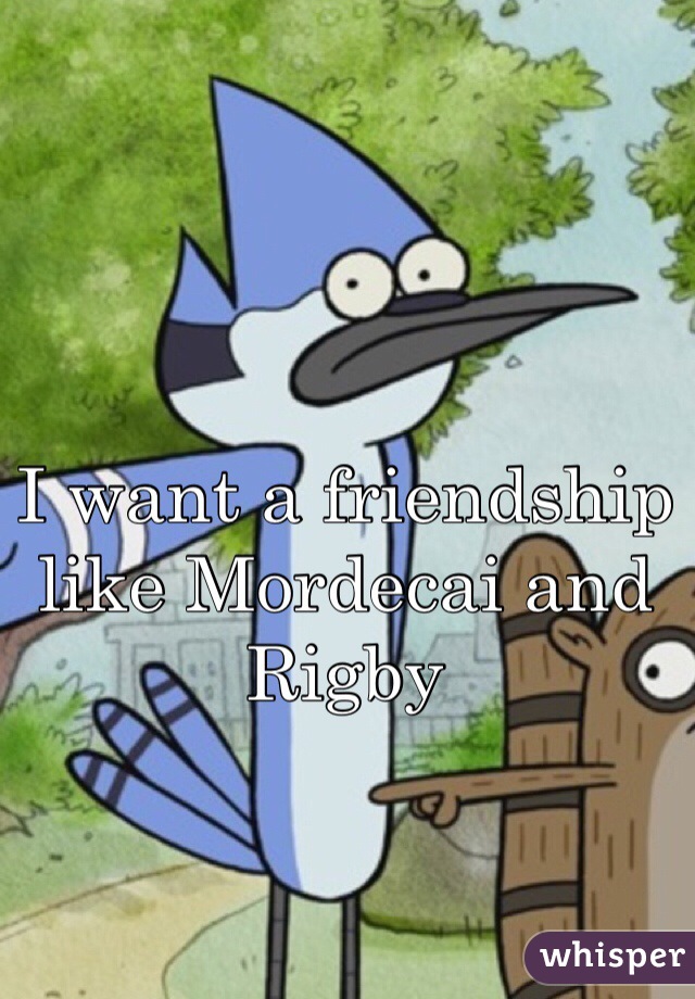 I want a friendship like Mordecai and Rigby 