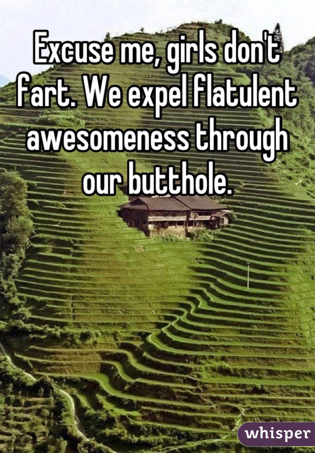 Excuse me, girls don't fart. We expel flatulent awesomeness through our butthole.