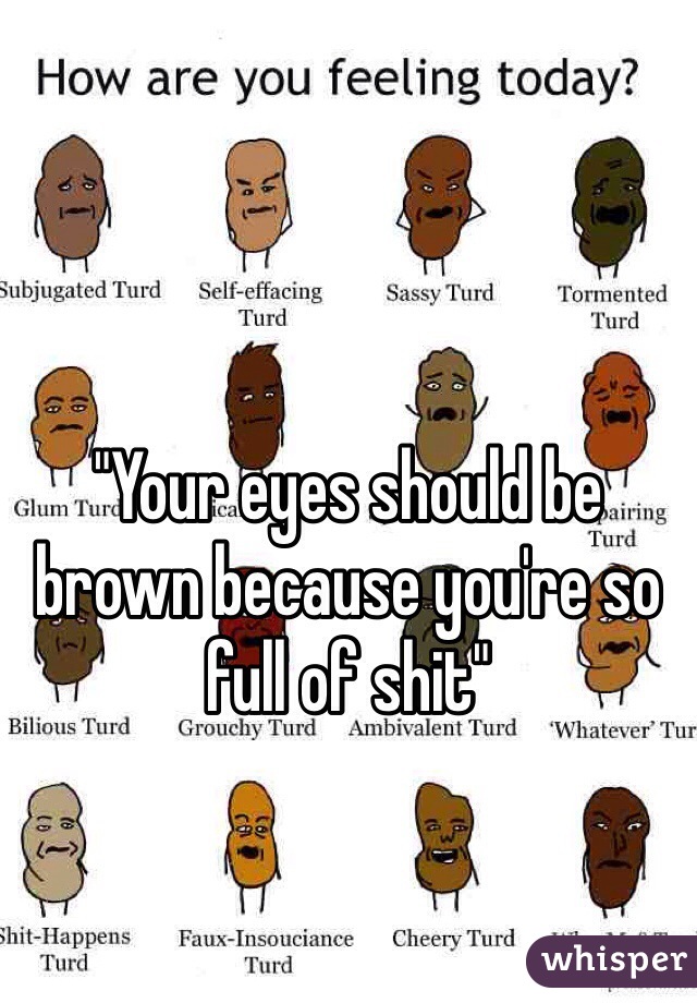 "Your eyes should be brown because you're so full of shit" 