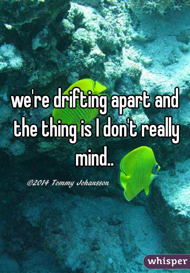 we're drifting apart and the thing is I don't really mind.. 